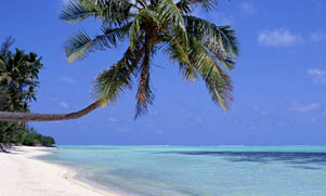 Incentive Travel